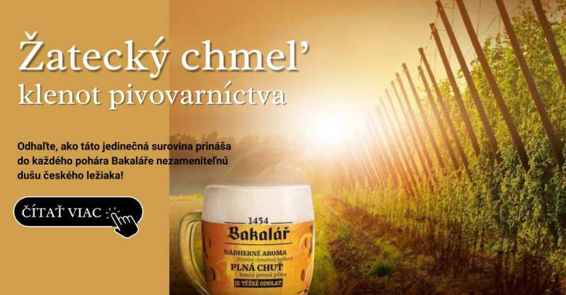 Tekuté zlato Česka: Prečo je Žatecký chmeľ srdcom piva Bakalář